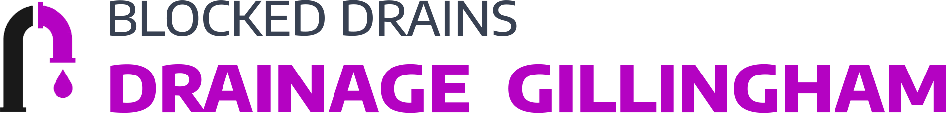 website logo